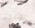 33534-1