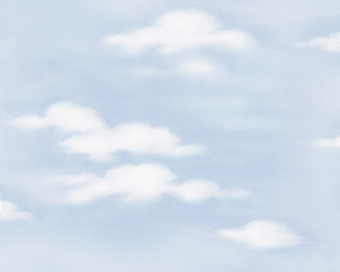 7981-21
