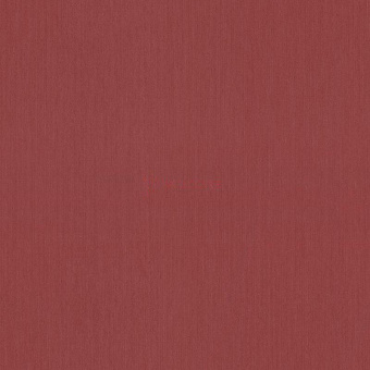 55983