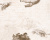 33534-2