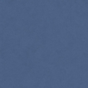 51005