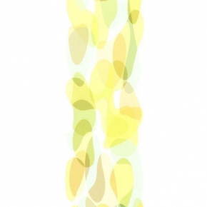 45404