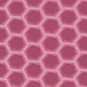 52027