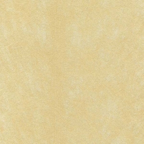 53553
