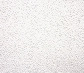 81207