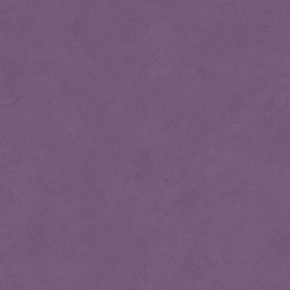 51004