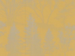 50-204