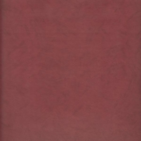4827-9