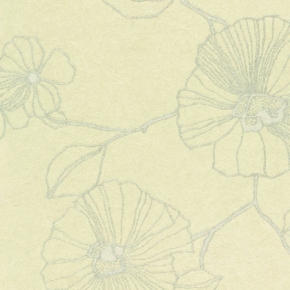50336