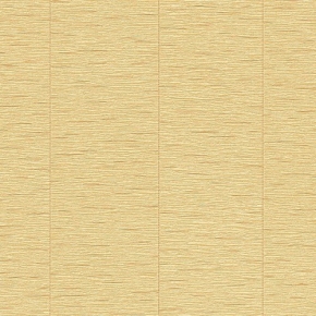 79557