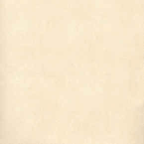 2876-4