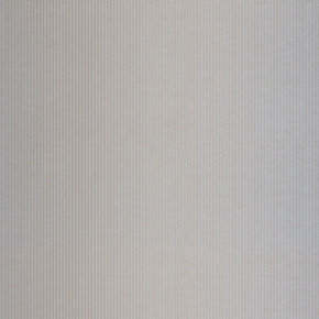 51117