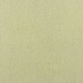 54333 (53723)