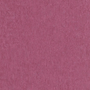 97826