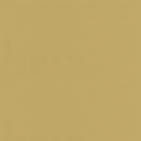 53006