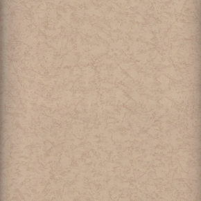 2868-5