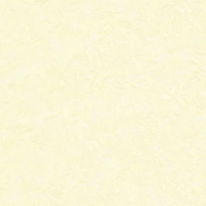 79528