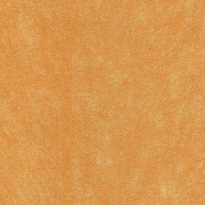 53557