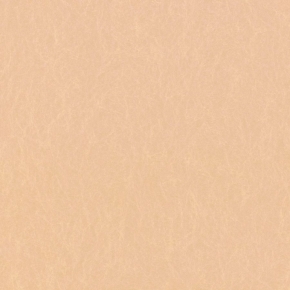 50323