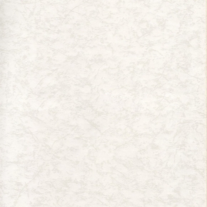 2868-2