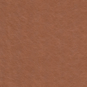 76954