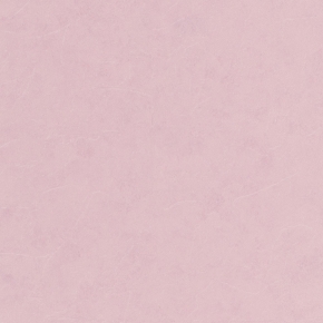 97816