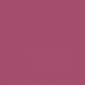 52081