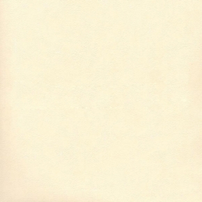 2876-3