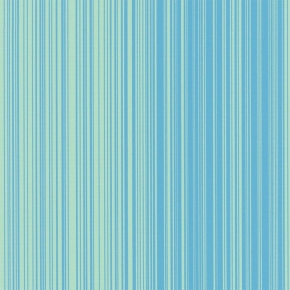 51556