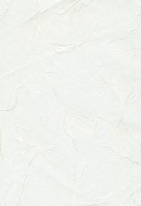 97091
