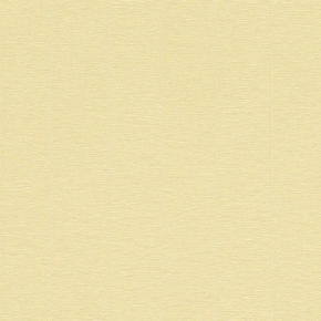 79553