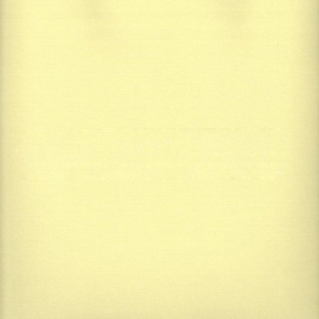 4881-7