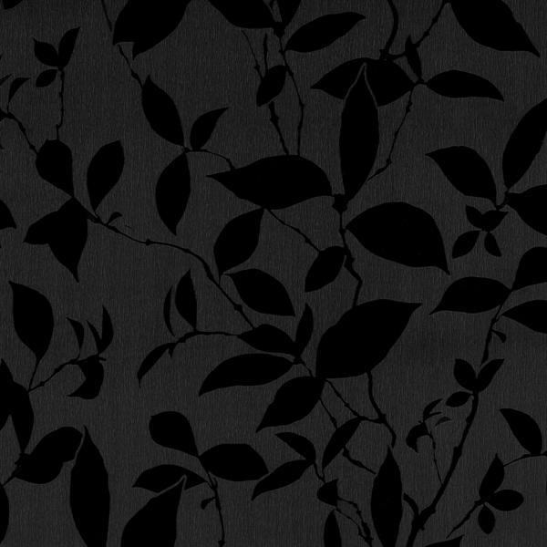 02290-50