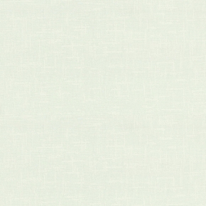 53005