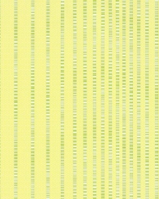 54055
