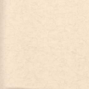 2868-3