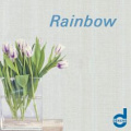 Rainbow Rainbow