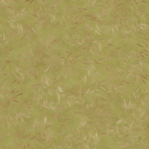 79530
