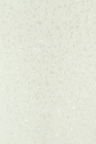 54479