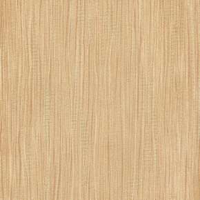 97069