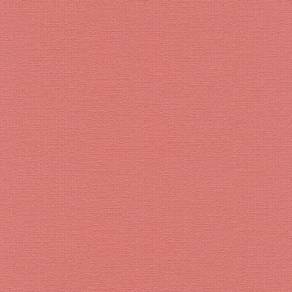 426441