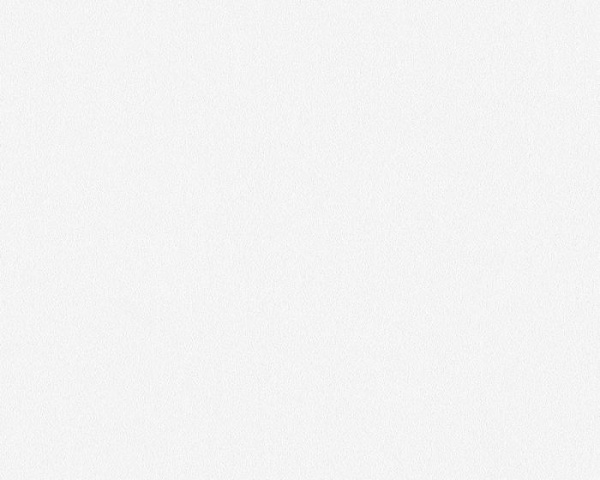 953081