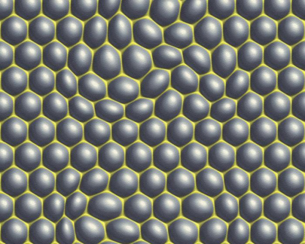 32720-1