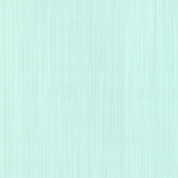 02484-50