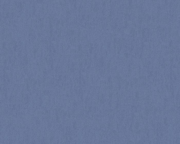 291295