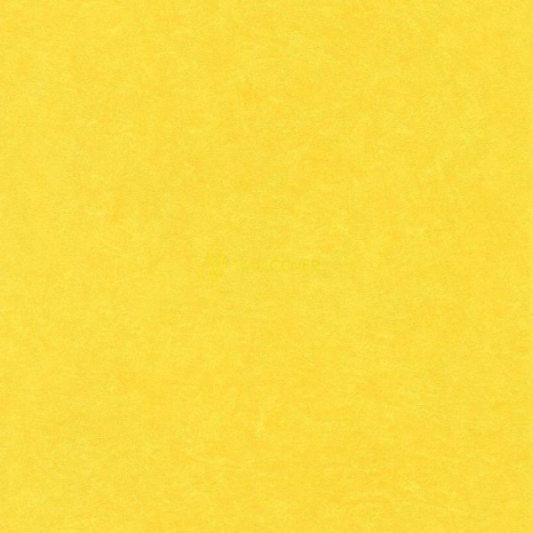 860177