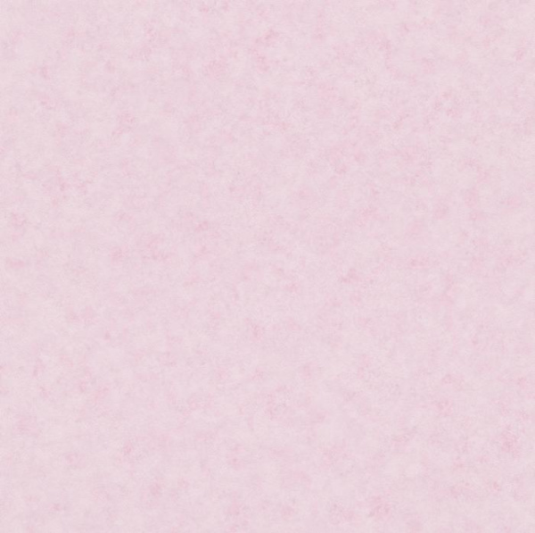 271263