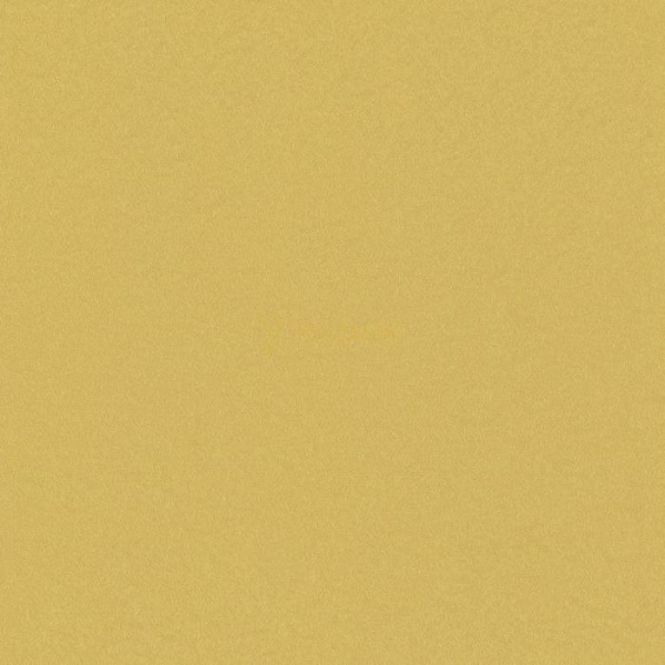 02536-10