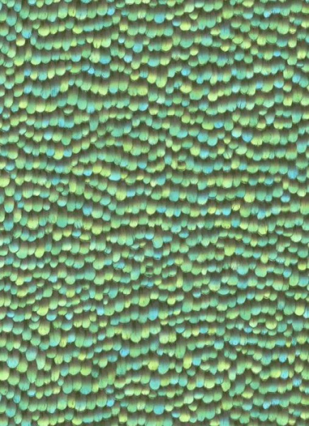 10129-18