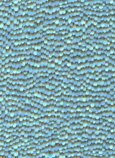 10129-08